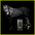 Arc Equine Therapy System